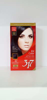 COLOR KIT 317 NÂª  0.11 X 1