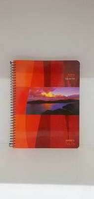 CUADERNO RAYADO ESPIRAL AMERICA CHICO ( BULTO  X 80 ) X 80 HOJAS