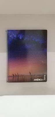 CUADERNO CUADRIC ESPIRAL AMERICA CHICO  X 80 HOJAS